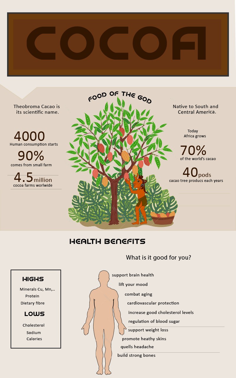 InforGraphic about Cocoa