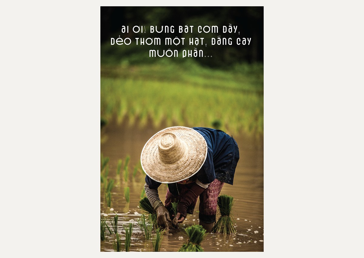 Cocoon (KÉN) - Bộ chữ cảm hứng từ những chiếc kén tằm