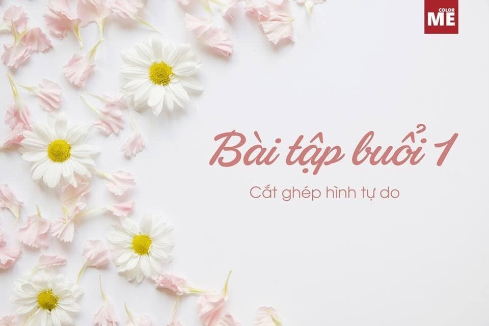BTVN BUỔI 1