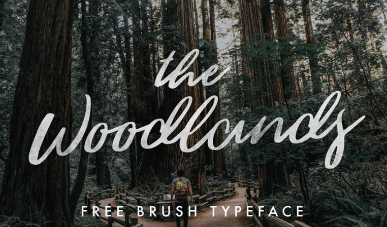 10 Font chữ Calligraphy miễn phí Designer không thể bỏ qua