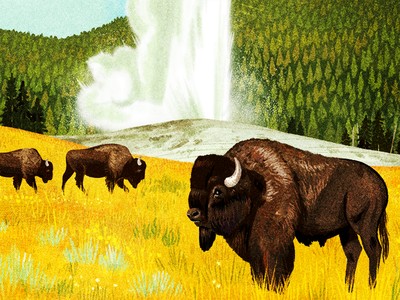 Fifty-Nine Parks Print Series - tôn vinh vẻ đẹp hùng vĩ của các vườn quốc gia