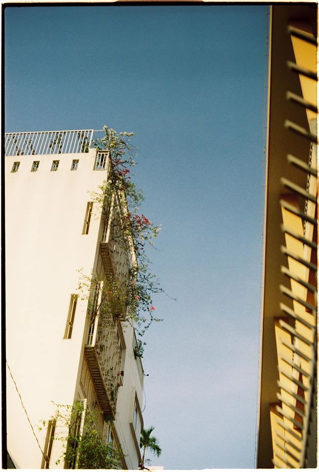Cẩm nang chụp Film: review Kodak ColorPlus 200 - “quốc dân” một thời