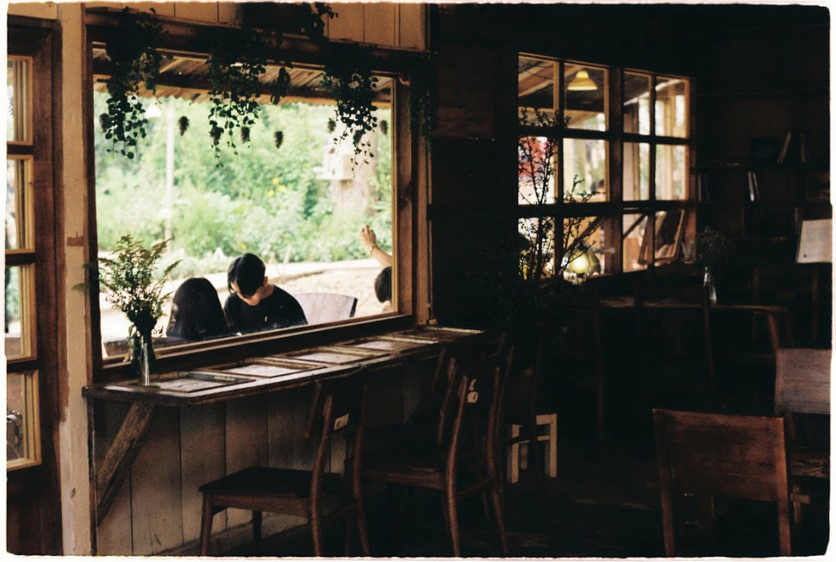 Cẩm nang chụp Film: review Kodak ColorPlus 200 - “quốc dân” một thời