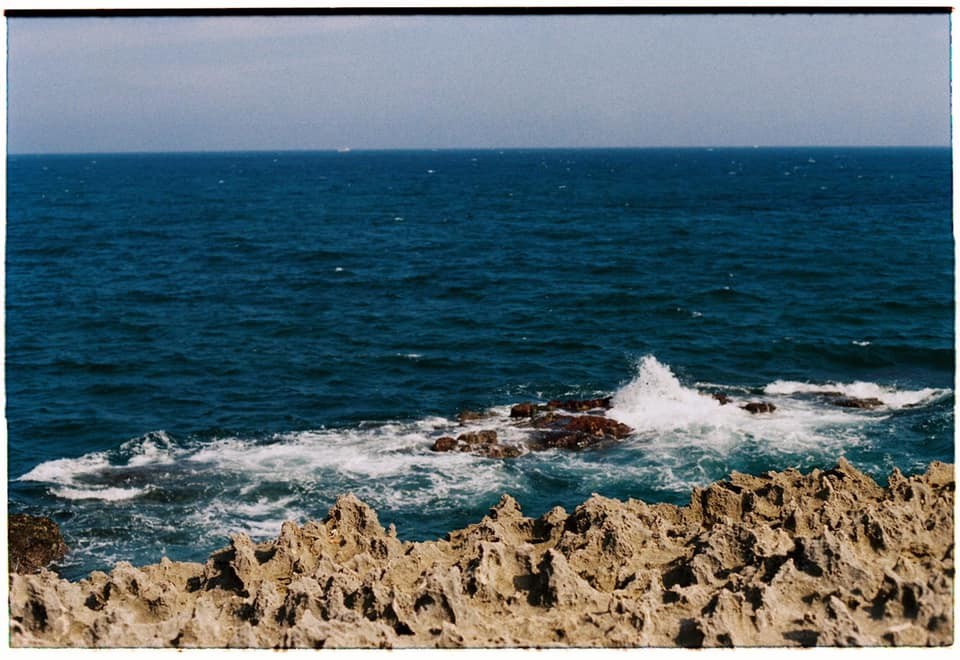 Cẩm nang chụp Film: review Kodak ColorPlus 200 - “quốc dân” một thời