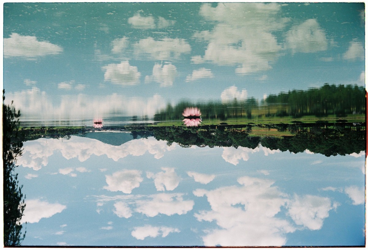 Cẩm nang chụp Film: review Kodak ColorPlus 200 - “quốc dân” một thời