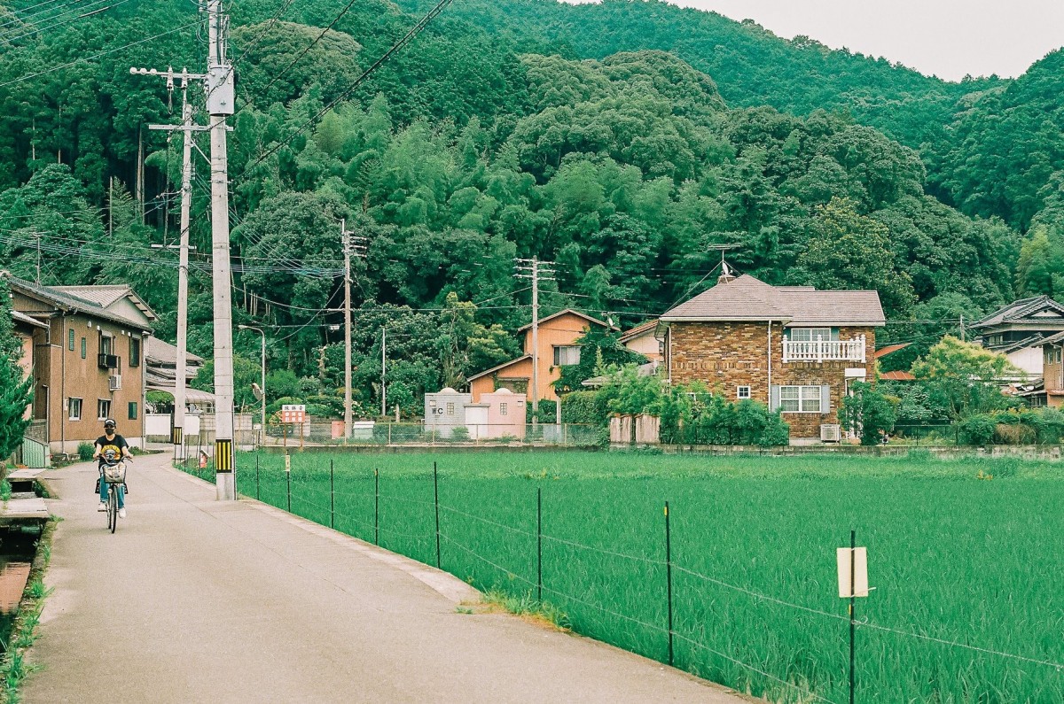 Cẩm nang chụp Film: review Kodak ColorPlus 200 - “quốc dân” một thời
