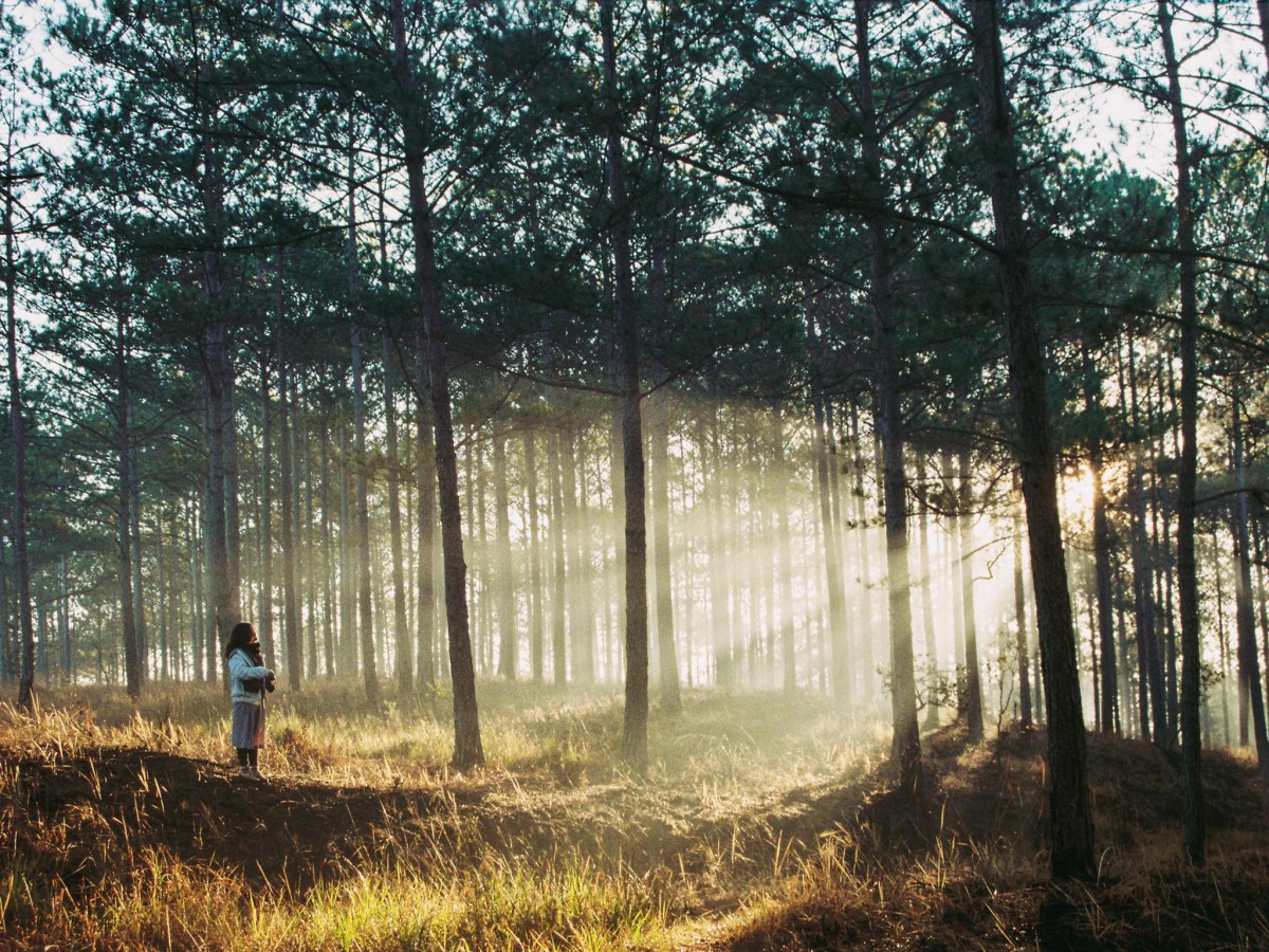 Cẩm nang chụp Film: review Kodak ColorPlus 200 - “quốc dân” một thời