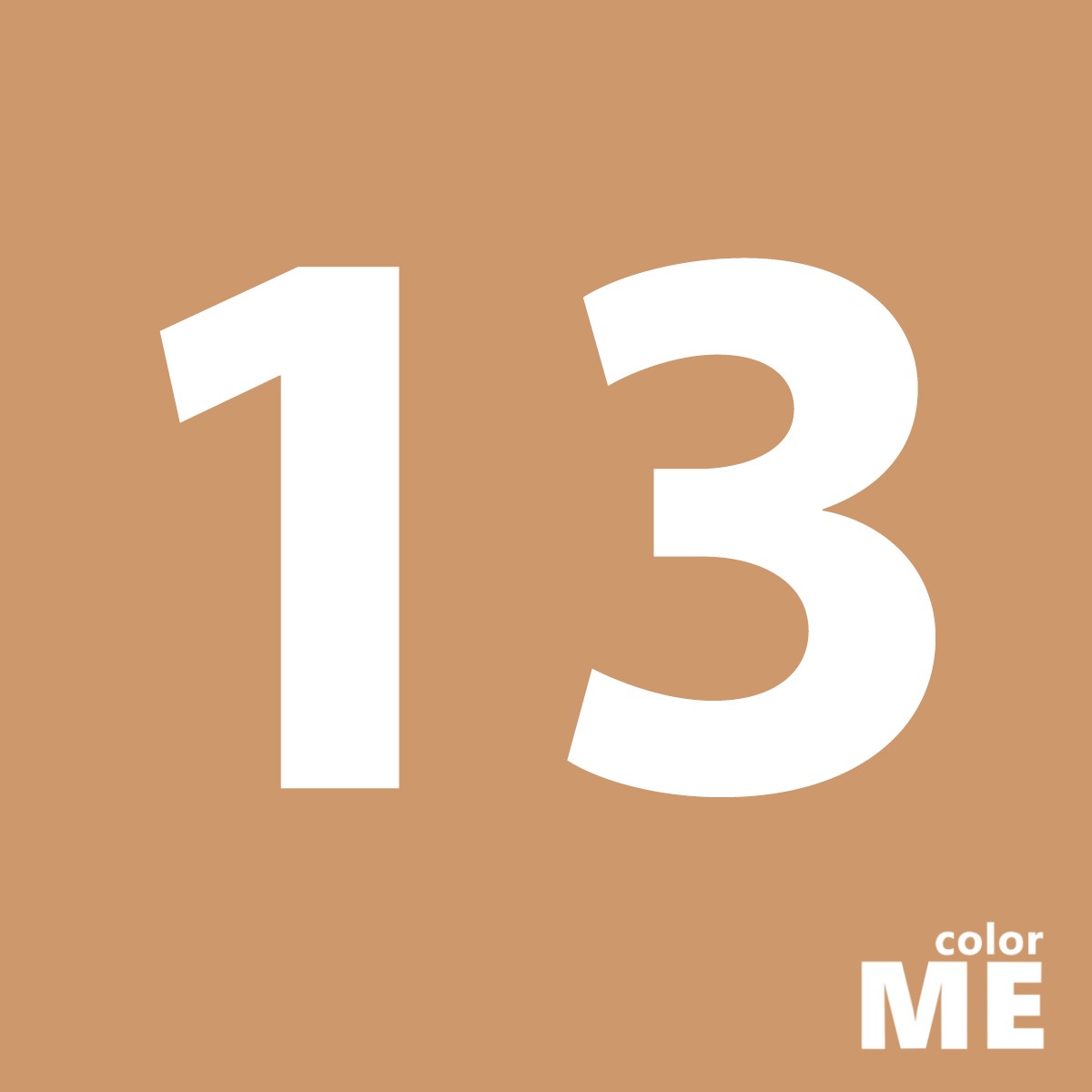 Buổi 13: ĐỘNG VẬT