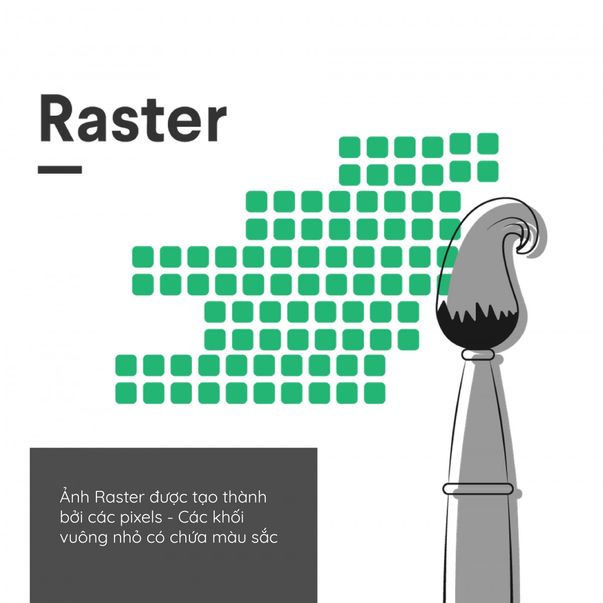 Điểm khác biệt giữa ảnh vector và ảnh raster