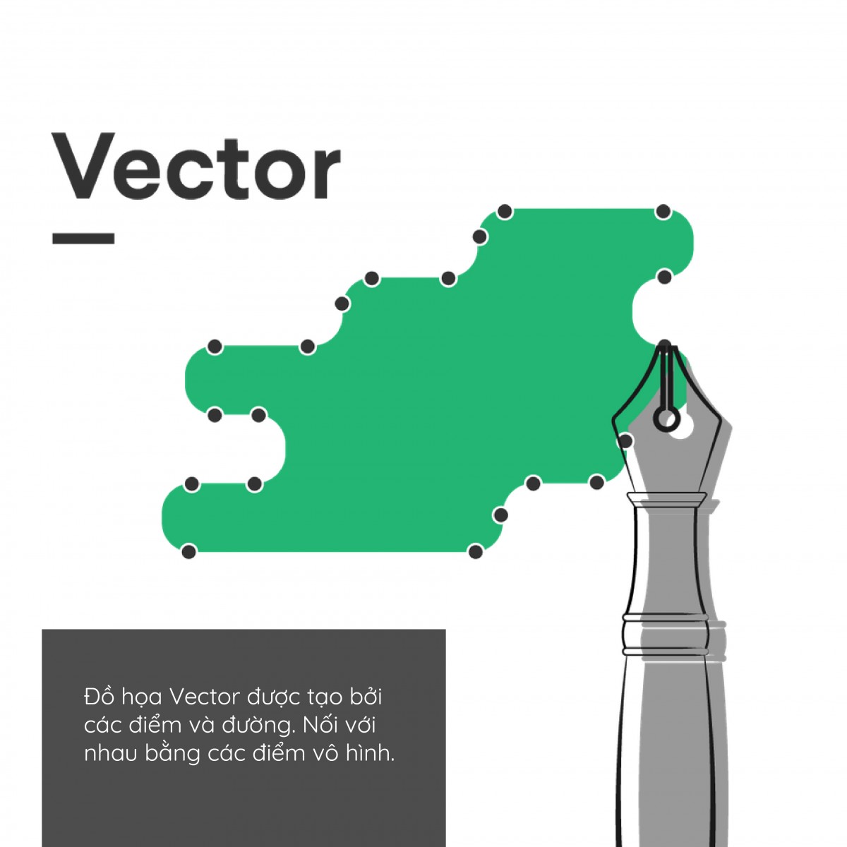 Điểm khác biệt giữa ảnh vector và ảnh raster