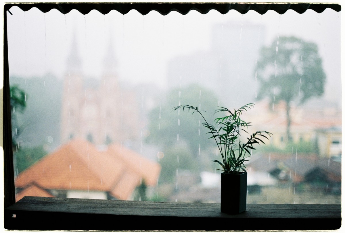 Cẩm nang chụp Film: review Fuji C200 - khởi đầu đáng nhớ của mọi Filmer