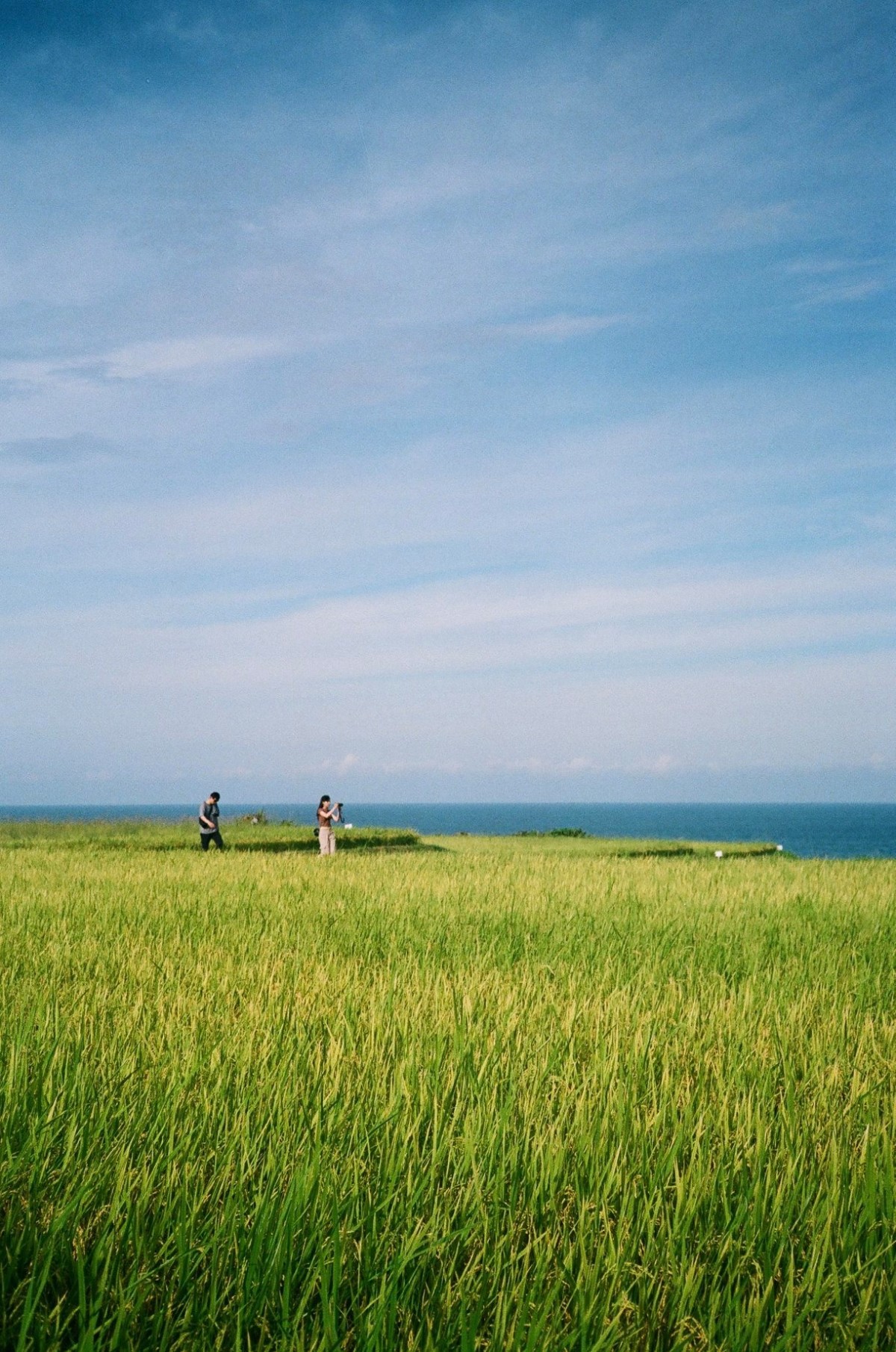 Cẩm nang chụp Film: review Fuji C200 - khởi đầu đáng nhớ của mọi Filmer