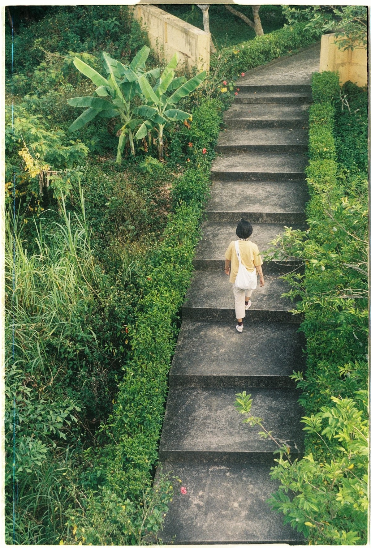 Cẩm nang chụp Film: review Fuji C200 - khởi đầu đáng nhớ của mọi Filmer