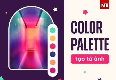 Cách tạo Color Palette từ những tấm ảnh
