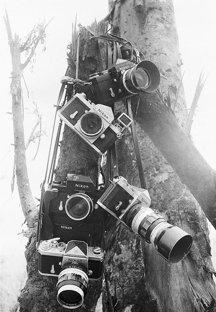 mayfilmnikon9.colorme