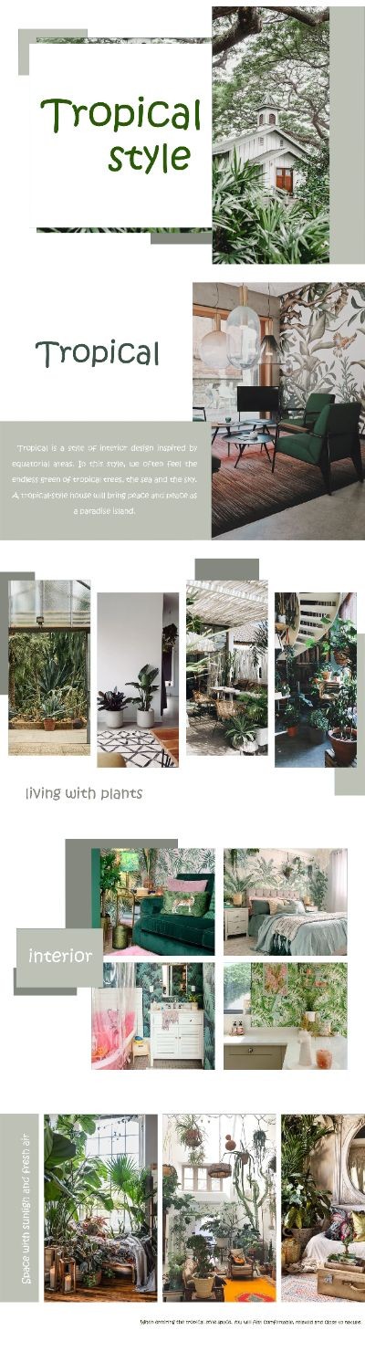 bộ layout
