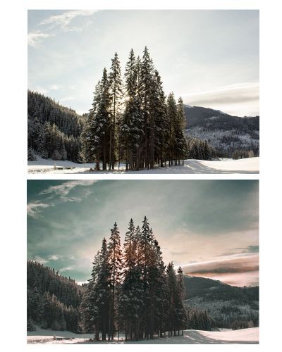 Blend