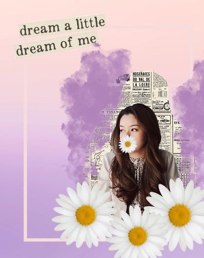 daisy purple