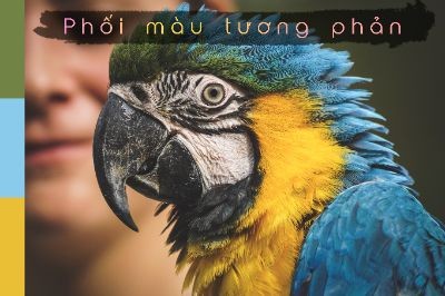Bài tập về nhà buổi 3