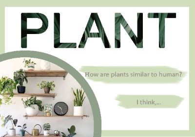 Plants