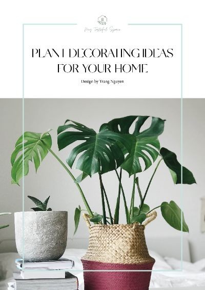 HOME DECORATION WITH PLANTS
