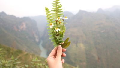 Trần Thanh Mai - Bài tập cuối kỳ