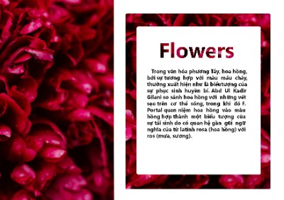 Flowers
