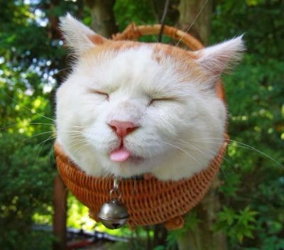 Hoàng Thị Hồng Vân_ BTVN 1