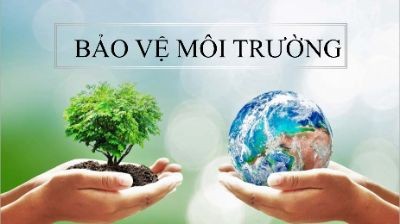 Bài tập cuối khóa - Mận