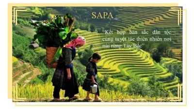 Bài tập cuối khóa - Phạm Thị Bích Liểu