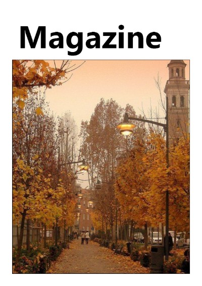 Magazine