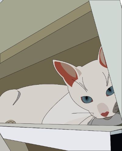 flat illustrator
