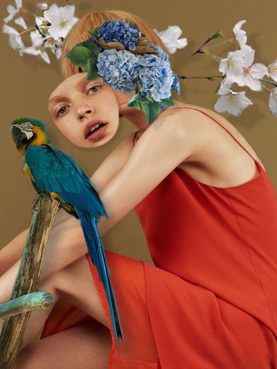 bài tập collage art