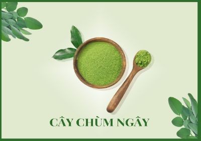 BÀI TẬP BUỔI 2