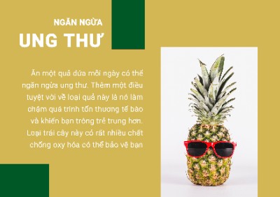NHỮNG LỢI ÍCH CỦA QUẢ DỨA ( BÀI TẬP 2)