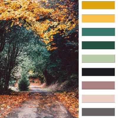 BẢNG COLOR PALETTE