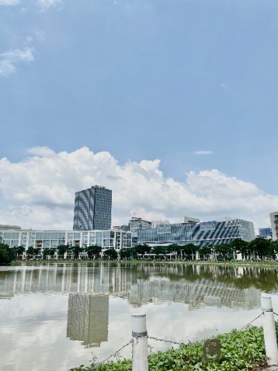 BTVN2 _ Bố cục