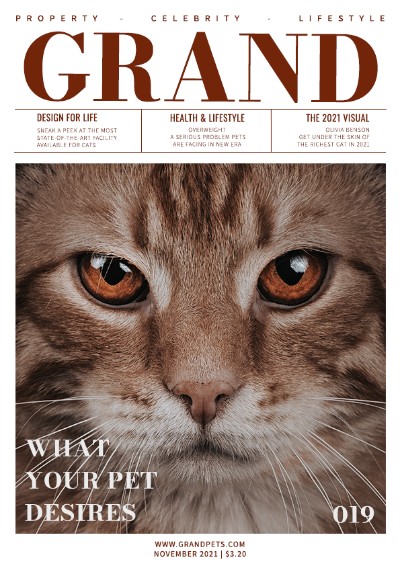 MAGAZINE COVER