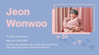 Jeon Wonwoo - SEVENTEEN