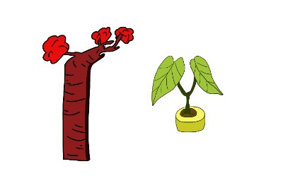 Phạm Thái Vũ_HW_B5