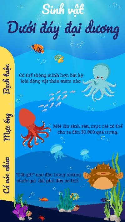 Infographic