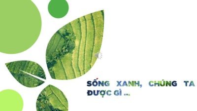 Bài tập 3 - chủ đề tự do