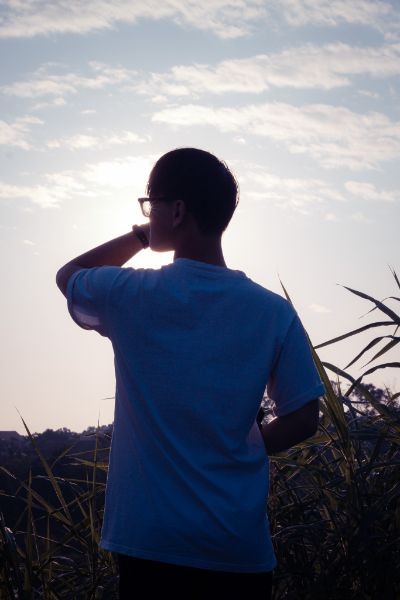 Btvn cuối kì