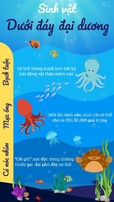 Bài tập cuối khóa