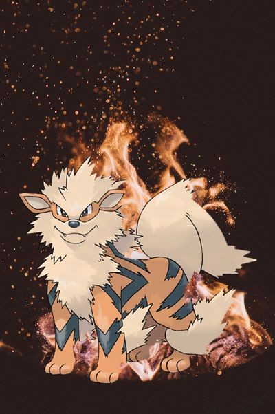 Arcanine Pokemon - Fire Type