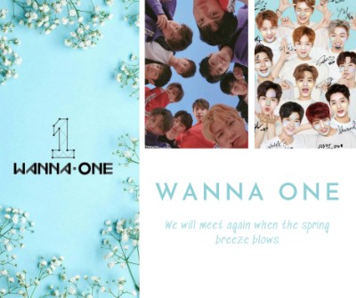 My beloved Wanna One