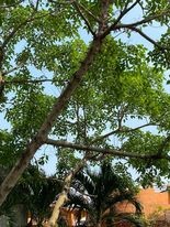Bài tập 1