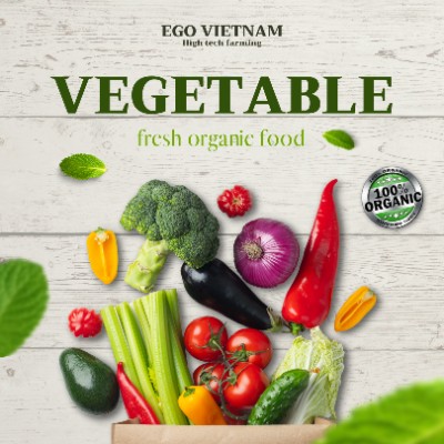 Giới thiệu rau sạch công ty Ego