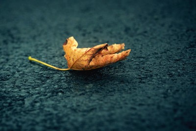 Bài tập về nhà buổi 5