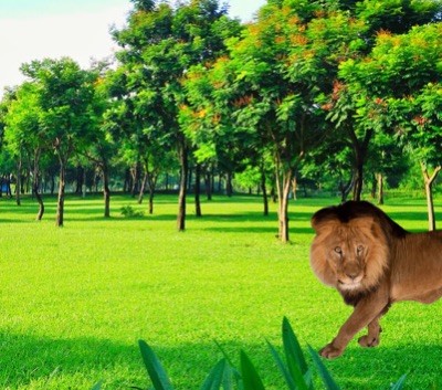 Bai tap cua Nguyen Hoai Phong